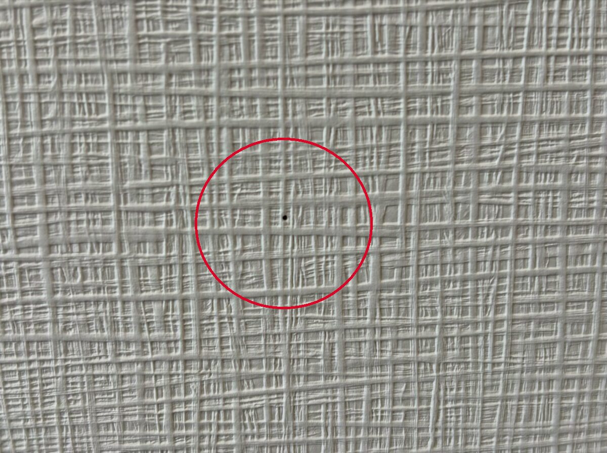 壁　どこ太の穴